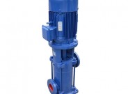 DL立式多级清水离心泵-上海矾泉泵业