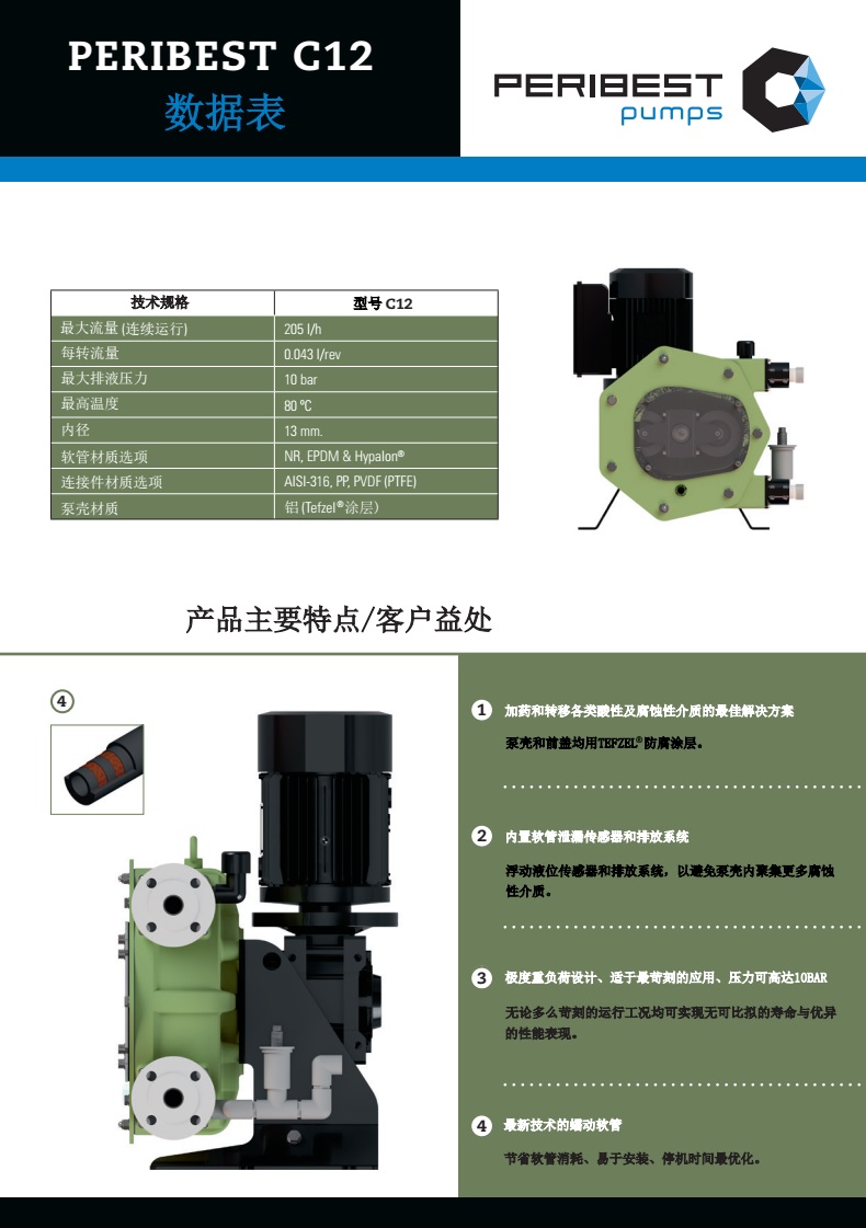 C12 P1