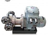 不锈钢磁力CB16泵 CB-FC16L系列液压齿轮泵